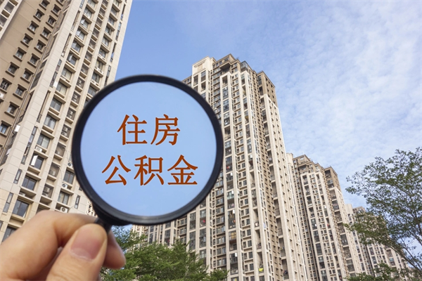 荆门上海公积金提取中介（上海公积金提取中介可靠吗）
